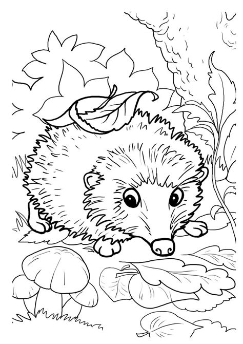 Printable coloring pages are fun and can help children develop important skills. Hedgehogs. Free Printable, Coloring and Activity Page for Kids - BuyLapbook