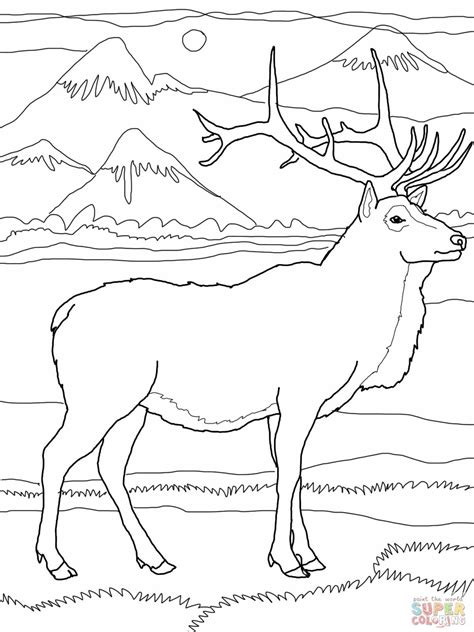 We have more beautiful coloring pages, check our shop. Pin on Coloring Book Pages