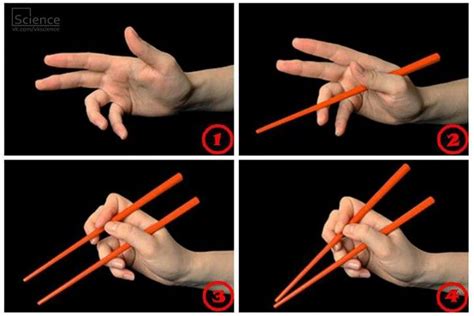 How do families from cultures where chopsticks are the norm teach their children to use them? Holding Chopsticks | How to hold chopsticks, Dining etiquette, Chopsticks