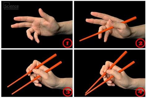 I notice people always struggle to pick up thei. Holding Chopsticks | How to hold chopsticks, Dining ...