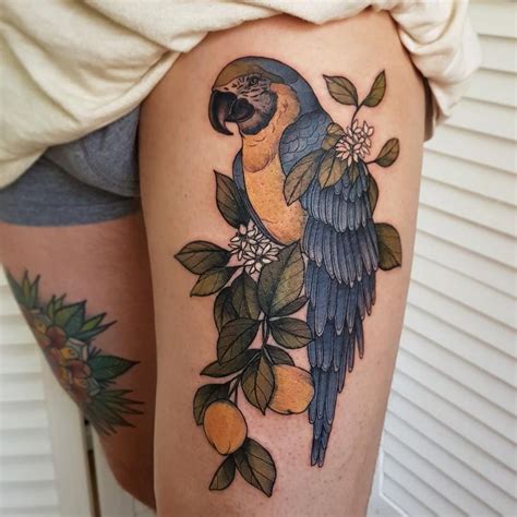 If you have any old tattoo design then you can restyle with a maori pattern. Macaw on a lemon branch tattoo - bird tattoo | Insect ...