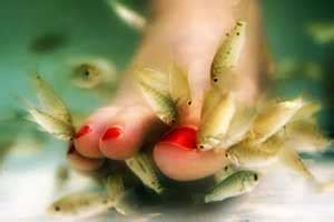 Sweet crush barefoot!!) slow motion of crushing!) 7 месяцев назад. 101 Foot Quotes | LexiYoga