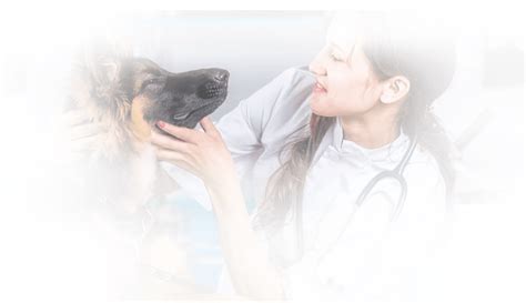 You can look at the address on the map. Compassionate Care Veterinary Hospital of Charlotte ...