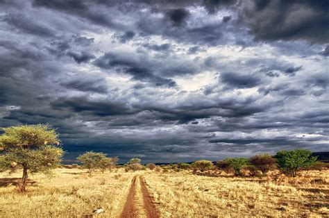 Die meisten großen veranstalter bieten aktuell. Gay Urlaub Namibia - zauberhaftes Afrika - Go Holidate