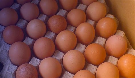 ….kerusakan yang disebabkan oleh faktor lingkungan termasuk serangan hama, dan mencegah atau memperlambat kerusakan mikrobial. Telur Tamat Tempoh Punca 99 Individu Keracunan Makanan ...