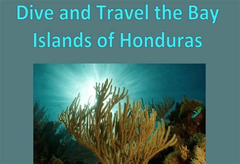 Experience incredible thermal protection with marvelous spearfishing gear on alibaba.com. Check Out This New Honduras Bay Islands EBook Dive Guide ...