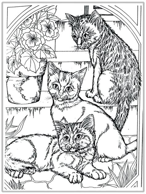 Feel free to mix and match colors to this dog and cat coloring page shows an adorable kitten sitting in front of its food bowl. Real Kitten Coloring Pages at GetDrawings | Free download