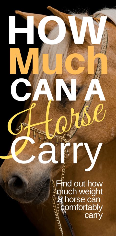 Use this calculator to work out what size horse is suitable for different sized riders. How Much Weight Can A Horse Carry | Horses, Horse quotes ...