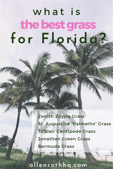 Several species and/or cultivars of zoysiagrasses are available in florida. The Best Grass for Florida: 5 Kinds of Grass Reviewed (With images) | Best grass seed, Grass ...