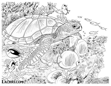 Coloring pages are fun for children of all ages and are a great educational tool that helps children develop fine motor skills, creativity and color recognition! Sea Turtle Colored Pencil tutorial - Lachri Fine Art