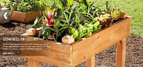 Check spelling or type a new query. Tall garden bed... | Garden beds, Garden, Outside living