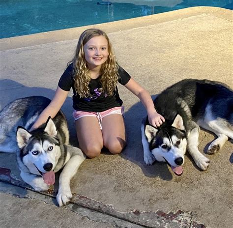 Akc siberian husky puppies who have a heart of gold and will be sure to snatch your. Siberian Husky Puppies For Sale | San Francisco Bay Area ...