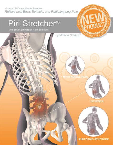 Learn how to draw the lower back muscles by learning their form. 139 best images about Help with Piriformis Syndrome on Pinterest | Hip pain, Low back and Muscle