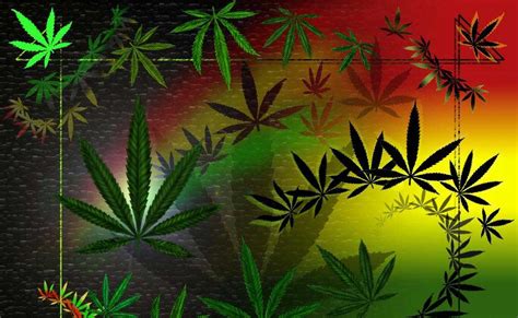 Lihat ide lainnya tentang wallpaper lucu, lucu, ansan. Wallpaper Keren Lucu: Wallpaper Keren Rasta