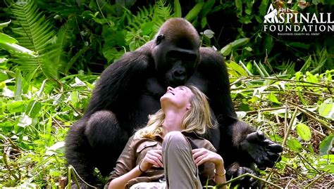 Thomas aspinall (born 11 april 1993) is a british mixed martial artist who competes in the heavyweight division of the ultimate fighting championship. Moment Damian Aspinall's wife meets the gorillas he bred ...