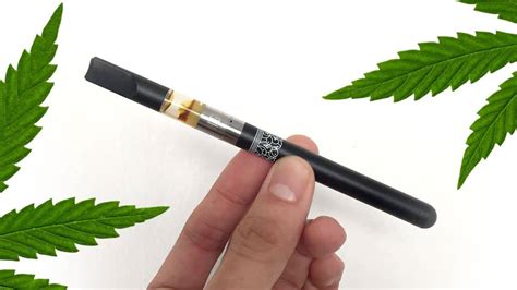 Best temp to vape oil. Everything You Need to Know About Pre-Filled Oil Vape ...