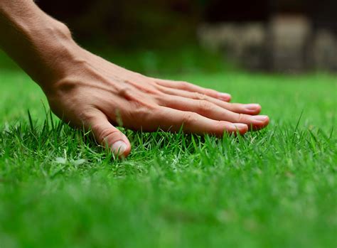 Some yards are built on steep or unusual angles, and can. How Much Does Lawn Treatment Service Cost in 2021? | Checkatrade
