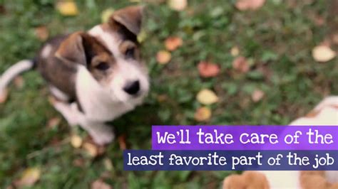 Pet domestic pet waste removal service provides your home with a reliable and professional lawn cleaning to give you a safe and healthy space to enjoy with family and friends. Little Landmines - Pet Waste Removal in Delaware - YouTube