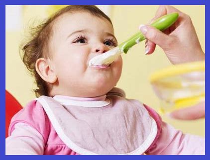 Makanan bayi usia 6 bulan ini sudah sangat diperlukan. MAKANAN BAYI 1 TAHUN PERTAMA (USIA 0-12 BULAN) - Blogbayi.com