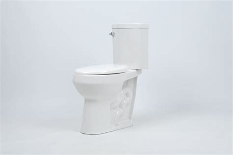 Maybe you would like to learn more about one of these? 20 inch Bowl Extra Tall Convenient Height Toilet | Toilet ...