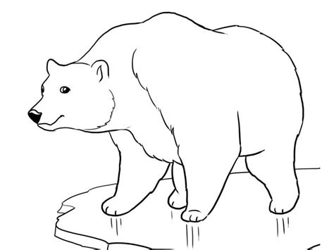 Wonderland coloring winter bear coloring, polar bear on ice coloring netart, santa claus riding on polar bear coloring royalty stock image stock photos royalty, pin on first birthday. Printable Polar Bear Coloring Pages | Bear coloring pages ...