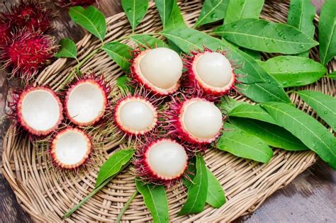 Buah ini pun memiliki hormon biostin dan neurohipofisa yang bekerja seperti oksitosin. Rambutan: penerangan tentang bagaimana untuk membersihkan ...