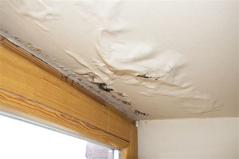 Not all leaks are created equal as is the case in this video. Why You Shouldn't Neglect Water Stains on Your Ceiling ...
