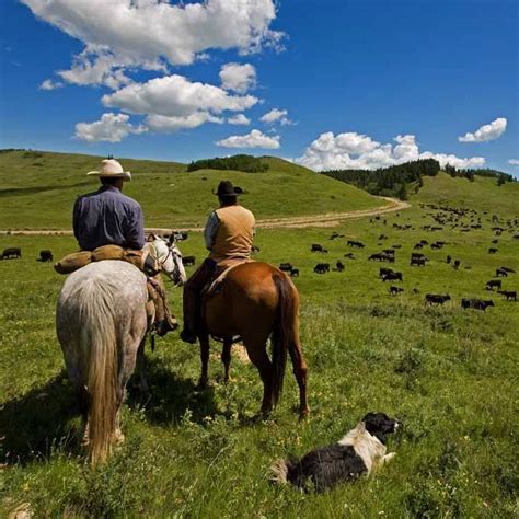 Farm and ranch owners insurance is dual coverage that protects your operation and the home that you live in. Prineville Farm and Ranch Insurance, Prineville