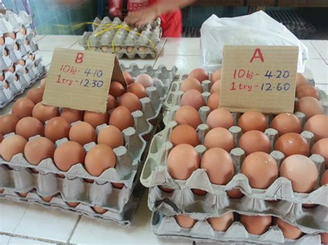 Biasanya satu papan telur dibanderol rp 38 ribu, kini harga … Harga Telur Ayam Yogyakarta, Harga Telur Terbaru, Update ...