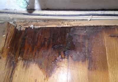 Cut the 2×6 boards and nail them under the newly exposed and cleared subfloor area. Why You Should Fix A Leaking Tap