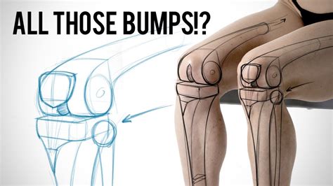 Click now to learn more about the bones, muscles, and soft tissues tibia: Diagram Of Leg Bones / Bones Of The Lower Limb Anatomy And ...