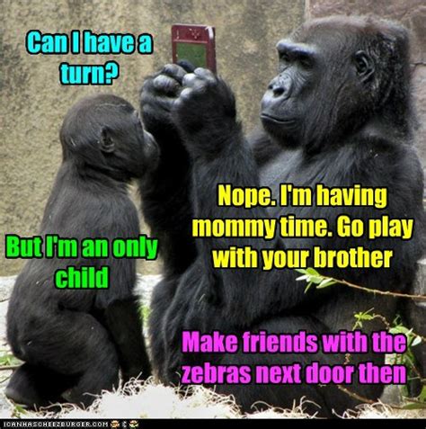 Thanks for checking up on me. Funny and Wild Animals : Funny Animals Mother's Day