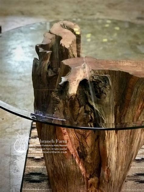 The proposals tree stump coffee table designed generate loads of constructive feelings and adapt to the type; Glass Top Tree Stump Table - Rustic coffee tables - # ...