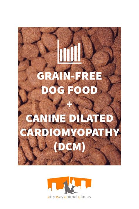 This is a heart condition most commonly seen in. Grain-Free Dog Food + Canine Dilated Cardiomyopathy (DCM ...