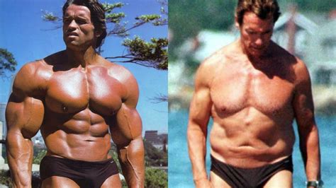 Arnold alois schwarzenegger (born july arnold schwarzenegger is the governor of california. Arnold Schwarzenegger's Transformation | Total Recall ...