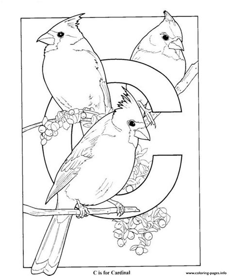 The female is mostly grayish brown with a slight reddish tint on the wings. Free S Alphabet C Is For Cardinal Birds11aa Coloring Pages ...