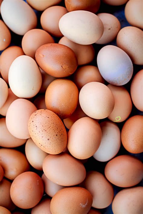 Jul 17, 2019 · hard cooked eggs can be stored in the refrigerator up to seven days, either left in their shells or peeled. How Long Can You Keep Eggs? | Kitchn