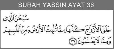 Surah yusuf terdiri atas 111 ayat dan termasuk golongan surah makkiyah. Doa Pengasihan Memikat Hati Paling Mujarab