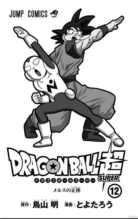 If you like dragon ball, viz editors recommend Dragon Ball Super Tome 12 : Les 30 premières pages à (re ...