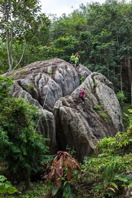 Hiking vlog bukit baginda via gochang 450m full hiking trail | 森美兰州陛下山登山全程路线 打卡点分享. Malaysian Nature Society (MNS)
