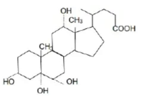 Warum nicht sie es versuchen? Kurnia 'blog: Keanekaragaman Struktur Kimia Steroid