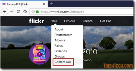 Short video tutorial on downloading photos from flickr How to Download All Photos or Albums from Flickr Account