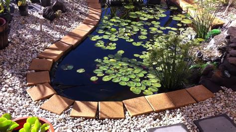 We tackle the question 'can goldfish eat bread?' as it's commonly asked. My Goldfish & Koi Pond - After 2ND WINTER - YouTube