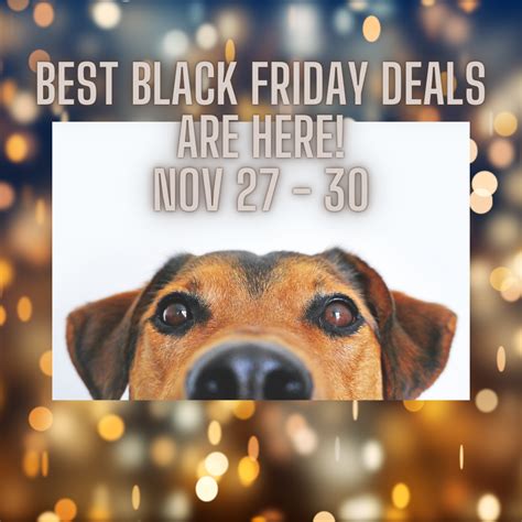 Black Friday Cyber Monday Pet Deals - The Urban Dog