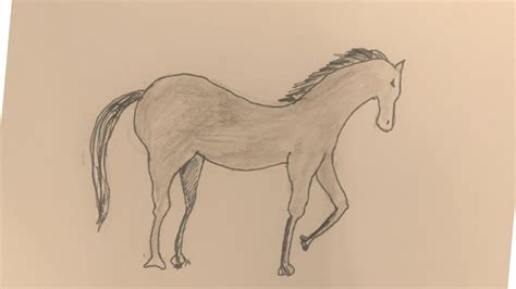 5.draw a back leg, sitting position. How to Draw Horse Easily - step by step way of drawing a ...
