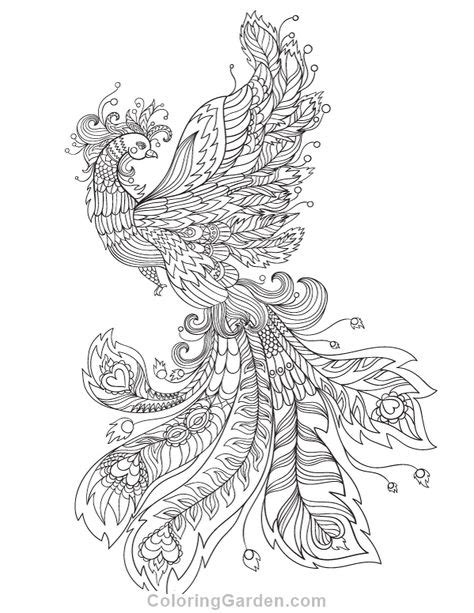 In general, the shape of a large snake, but some are described as winged lizards who have several heads and can breathe fire. Free printable phoenix adult coloring page. Download it in ...