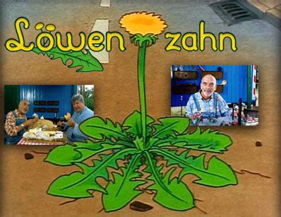 Durch die bitterstoffe regt löwenzahn den stoffwechsel an und hilft bei verdauungsstörungen. Von Pusteblume zu Löwenzahn | Wurzi Wunderlich