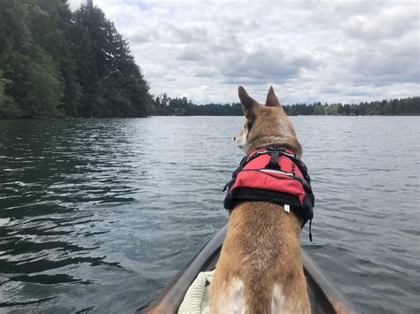 Maybe you would like to learn more about one of these? Best way to spend a Saturday. Washington state. : Outdoors