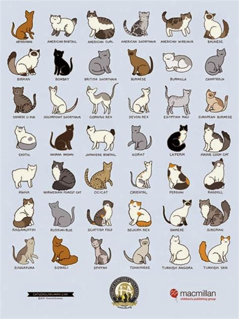 There are hundreds of possible colour/pattern permutations; Breeds, Colors, Patterns... So Confusing!