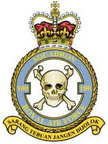 | sarang tebuan jangan dijolok@drem4g #maludapatsakitpundapat. 100 Squadron RAF - Motto Malay: Sarang tebuan jangan ...